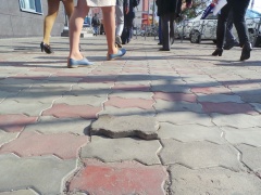 Орловских предпринимателей могут обязать содержать прилегающие территории